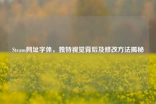 Steam网址字体,独特视觉背后及修改方法揭秘