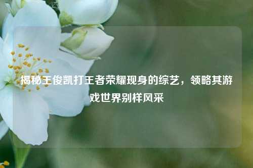 揭秘王俊凯打王者荣耀现身的综艺,领略其游戏世界别样风采