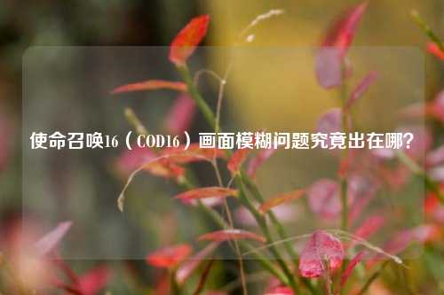 使命召唤16(COD16)画面模糊问题究竟出在哪?
