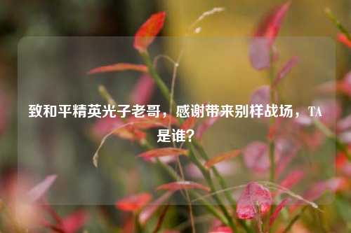 致和平精英光子老哥,感谢带来别样战场,TA是谁?