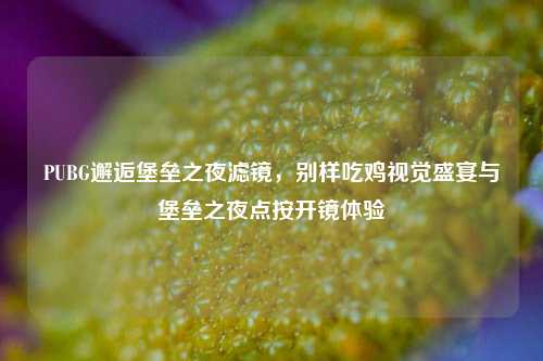 PUBG邂逅堡垒之夜滤镜,别样吃鸡视觉盛宴与堡垒之夜点按开镜体验