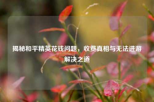 揭秘和平精英花钱问题，收费真相与无法进游解决之道