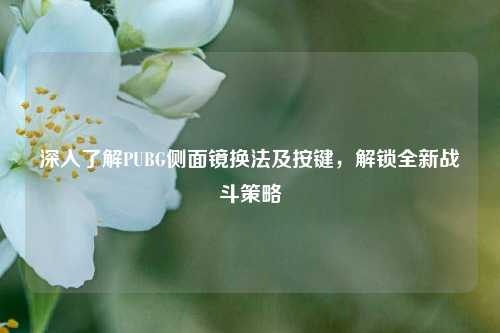 深入了解PUBG侧面镜换法及按键，解锁全新战斗策略