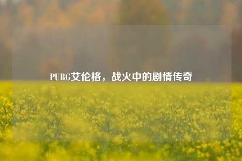 PUBG艾伦格,战火中的剧情传奇