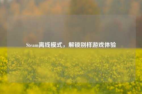 Steam离线模式,解锁别样游戏体验