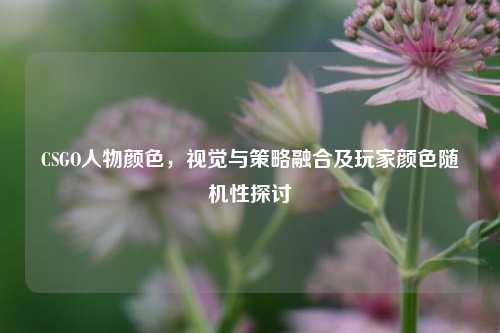 CSGO人物颜色，视觉与策略融合及玩家颜色随机性探讨
