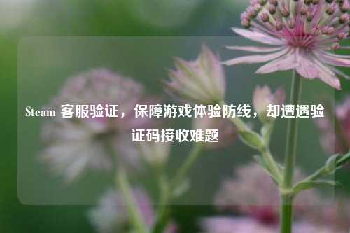 Steam 客服验证,保障游戏体验防线,却遭遇验证码接收难题