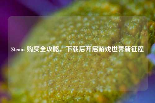 Steam 购买全攻略,下载后开启游戏世界新征程