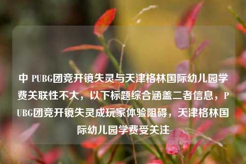 中 PUBG团竞开镜失灵与天津格林国际幼儿园学费关联性不大,以下标题综合涵盖二者信息,PUBG团竞开镜失灵成玩家体验阻碍,天津格林国际幼儿园学费受关注