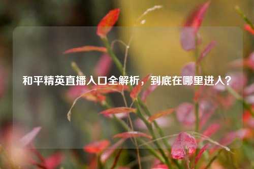 和平精英直播入口全解析,到底在哪里进入?