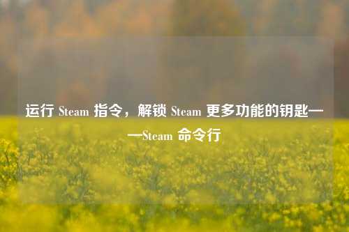 运行 Steam 指令,解锁 Steam 更多功能的钥匙——Steam 命令行