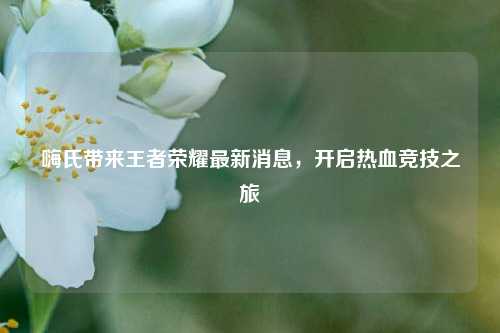 嗨氏带来王者荣耀最新消息,开启热血竞技之旅