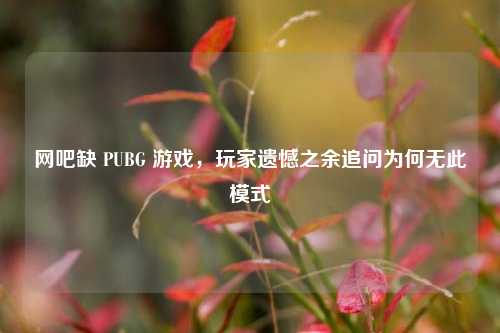 网吧缺 PUBG 游戏,玩家遗憾之余追问为何无此模式