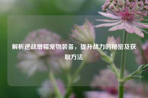 解析逆战增幅宠物装备,提升战力的秘密及获取方法