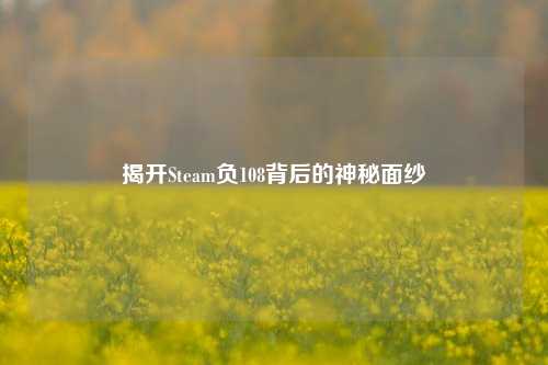 揭开Steam负108背后的神秘面纱