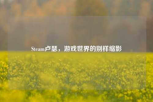 Steam卢瑟，游戏世界的别样缩影