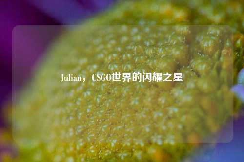 Julian，CSGO世界的闪耀之星