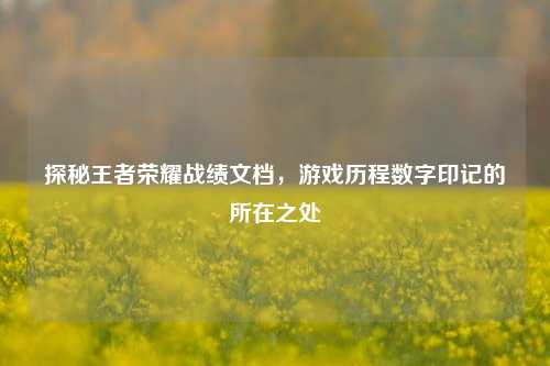 探秘王者荣耀战绩文档,游戏历程数字印记的所在之处