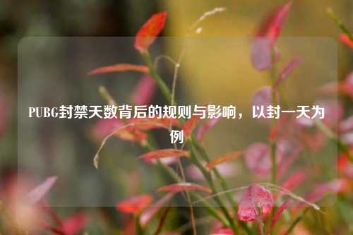 PUBG封禁天数背后的规则与影响，以封一天为例