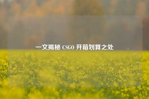 一文揭秘 CSGO 开箱划算之处