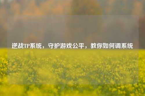 逆战TP系统,守护游戏公平,教你如何调系统