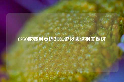 CSGO陀螺用英语怎么说及表达相关探讨