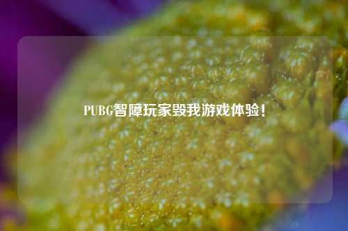 PUBG智障玩家毁我游戏体验！