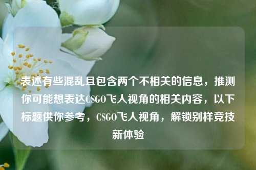 表述有些混乱且包含两个不相关的信息,推测你可能想表达CSGO飞人视角的相关内容,以下标题供你参考,CSGO飞人视角,解锁别样竞技新体验