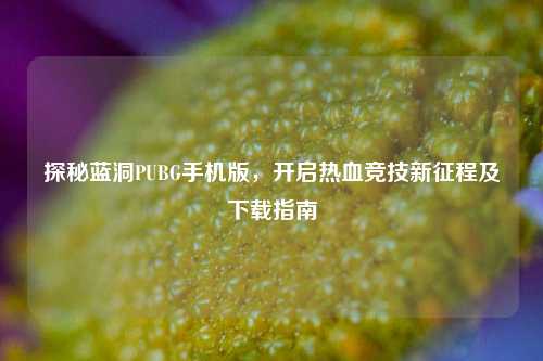 探秘蓝洞PUBG手机版，开启热血竞技新征程及下载指南