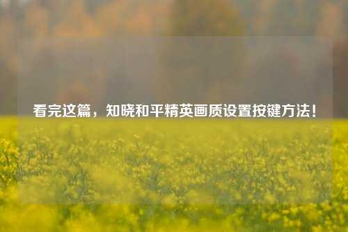 看完这篇,知晓和平精英画质设置按键方法!