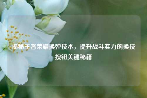 揭秘王者荣耀换弹技术,提升战斗实力的换技按钮关键秘籍