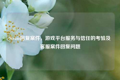 Steam回复案件,游戏平台服务与信任的考验及客服案件回复问题