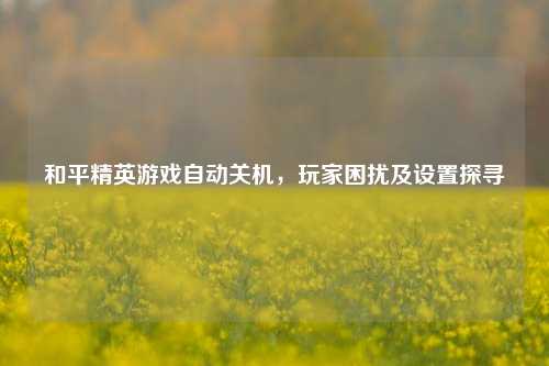 和平精英游戏自动关机，玩家困扰及设置探寻