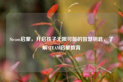 Steam启蒙,开启孩子无限可能的智慧钥匙,了解STEAM启蒙教育