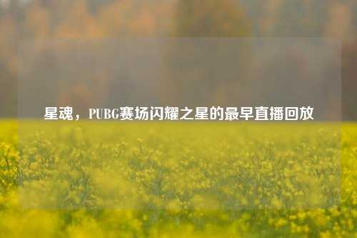 星魂,PUBG赛场闪耀之星的最早直播回放