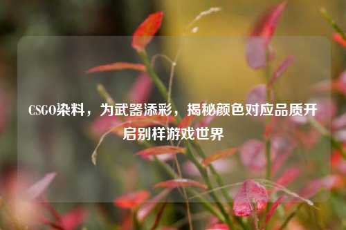 CSGO染料，为武器添彩，揭秘颜色对应品质开启别样游戏世界