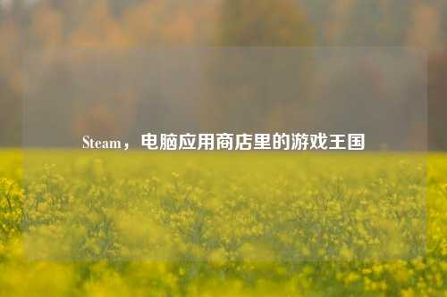 Steam，电脑应用商店里的游戏王国