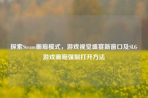 探索Steam画廊模式,游戏视觉盛宴新窗口及SLG游戏画廊强制打开方法