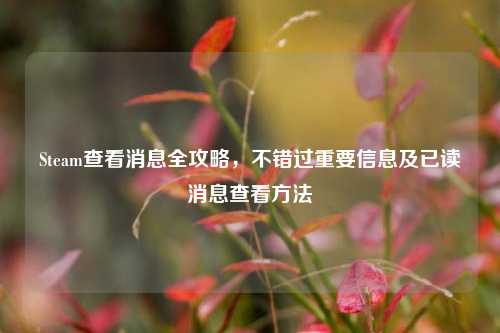 Steam查看消息全攻略，不错过重要信息及已读消息查看方法