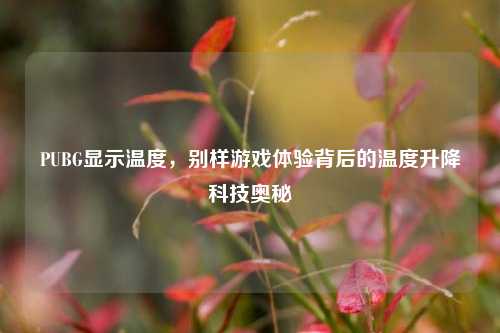 PUBG显示温度,别样游戏体验背后的温度升降科技奥秘