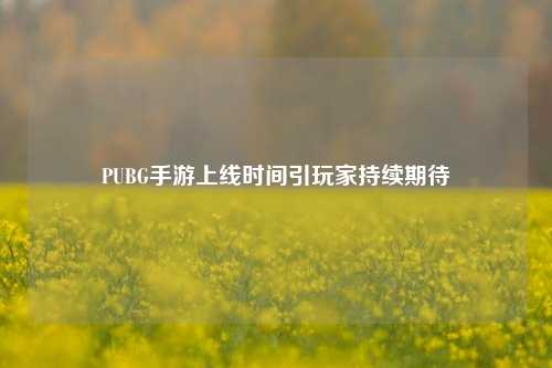 PUBG手游上线时间引玩家持续期待