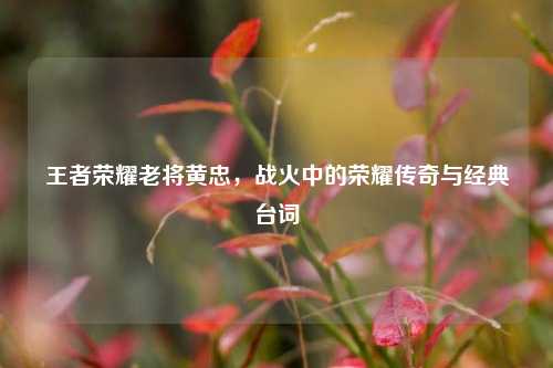 王者荣耀老将黄忠，战火中的荣耀传奇与经典台词