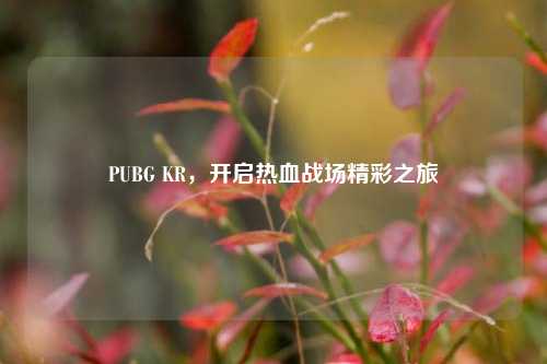 PUBG KR，开启热血战场精彩之旅