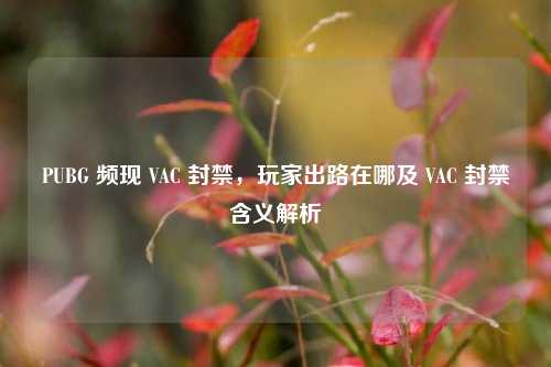 PUBG 频现 VAC 封禁,玩家出路在哪及 VAC 封禁含义解析