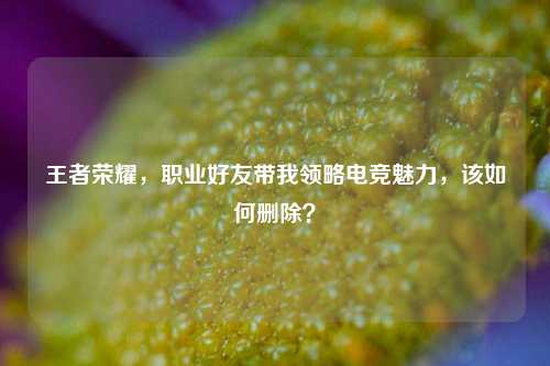 王者荣耀，职业好友带我领略电竞魅力，该如何删除？
