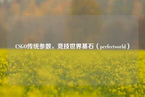 CSGO传统参数，竞技世界基石（perfectworld）