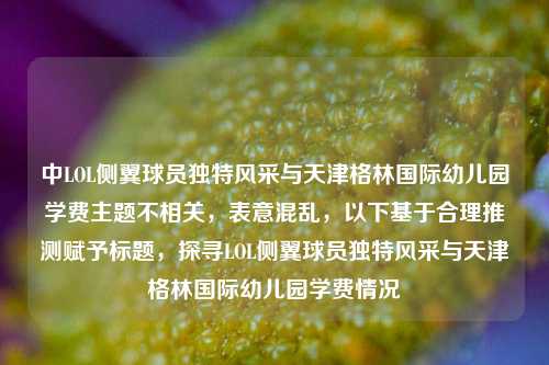 中LOL侧翼球员独特风采与天津格林国际幼儿园学费主题不相关,表意混乱,以下基于合理推测赋予标题,探寻LOL侧翼球员独特风采与天津格林国际幼儿园学费情况