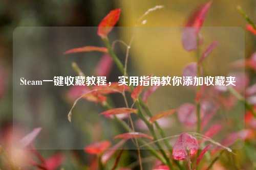 Steam一键收藏教程,实用指南教你添加收藏夹