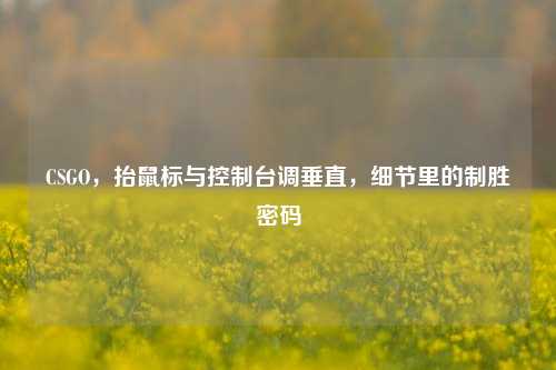 CSGO,抬鼠标与控制台调垂直,细节里的制胜密码