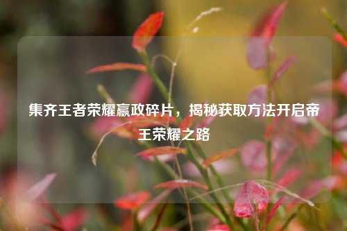 集齐王者荣耀嬴政碎片,揭秘获取方法开启帝王荣耀之路